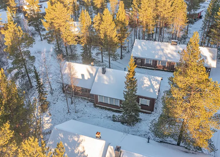 Levillas Operonmukka 2e9 * 列维