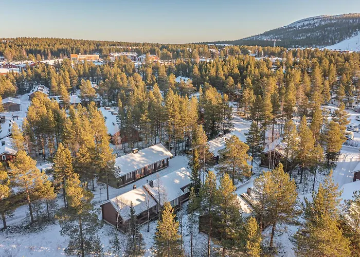 Levillas Operonmukka 2e9 * 列维